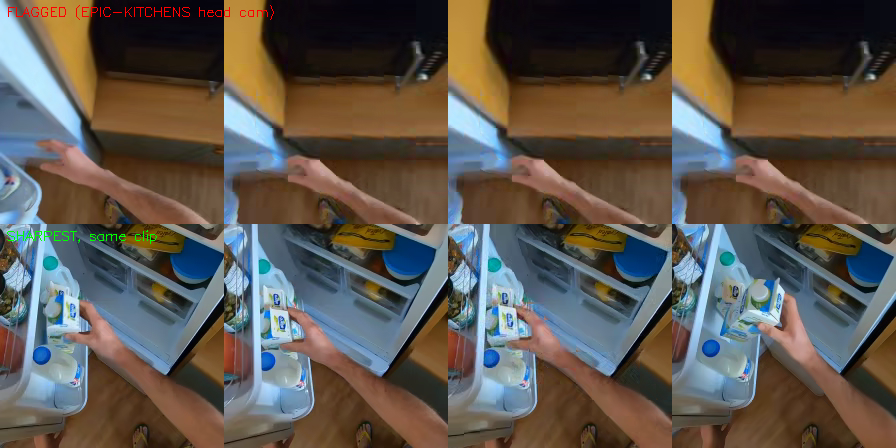 Flagged frames against the sharpest frames from the same EPIC-KITCHENS clips